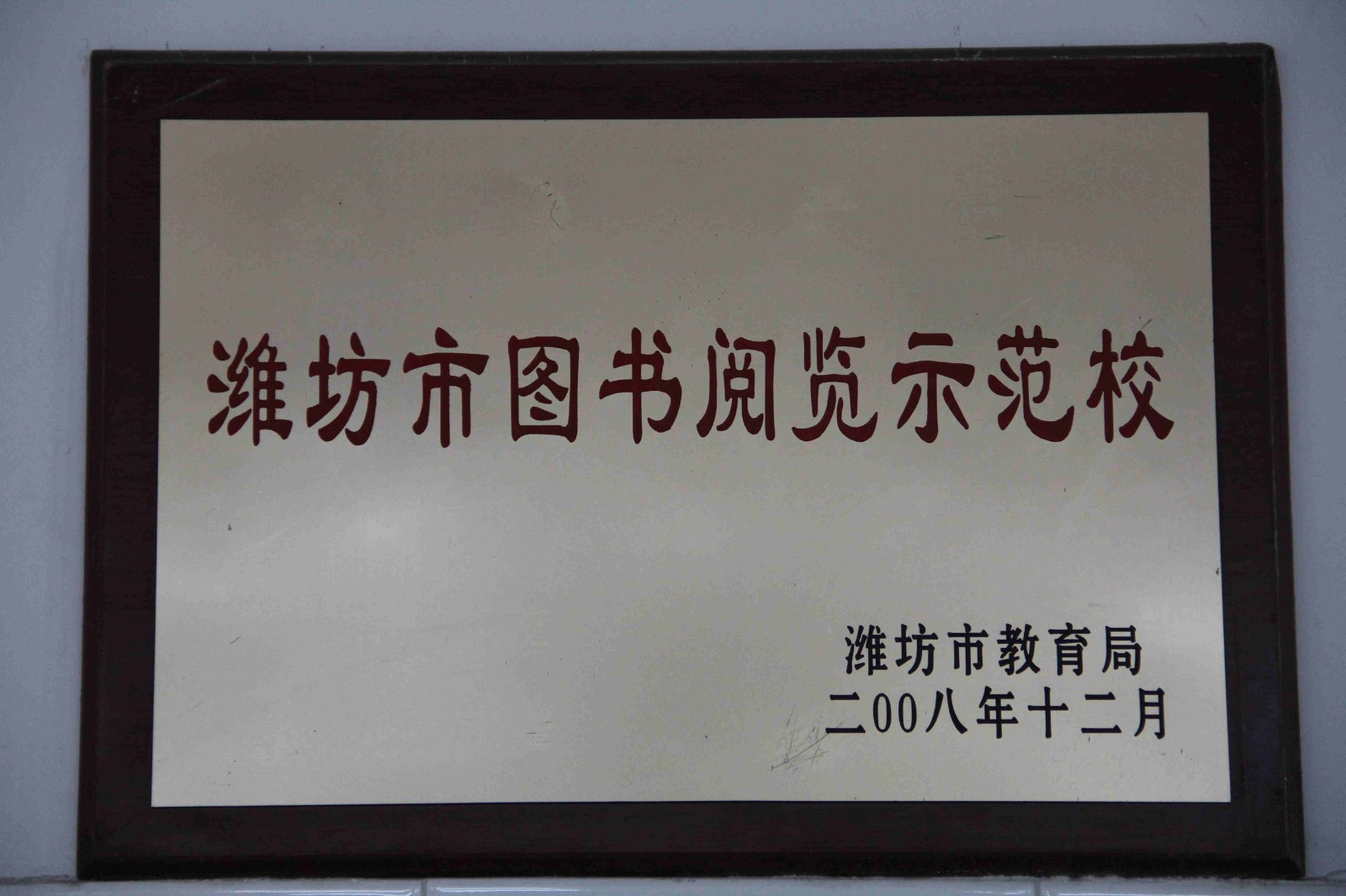潍坊市图书阅览示范校.JPG